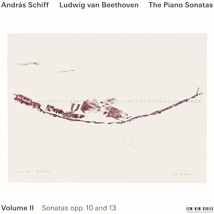 Amazon.co.jp: ピアノ・ソナタ全集 アンドラーシュ・シフ(11CD